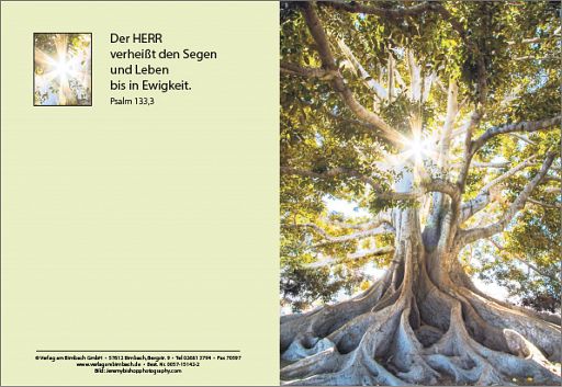 Birnbacher Karte - Lebensbaum mit individuellem Eindruck