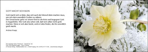 Leipziger Weihnachtskarte: Christrose mit individuellem Eindruck