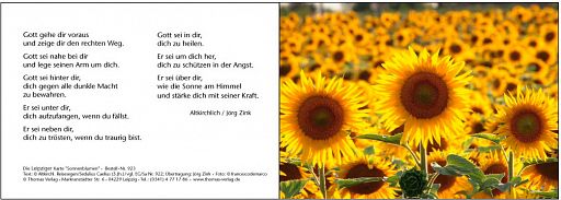 Leipziger Karte: Sonnenblumen