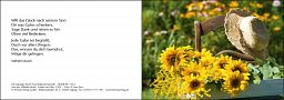 Leipziger Karte: Sonnenblumenstrauß, ohne Inneneindruck