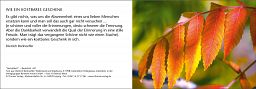 Leipziger Trauerkarte: Herbstblatt, ohne Inneneindruck