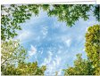 Leipziger Karte: Ein Fenster zum Himmel mit individuellem Eindruck