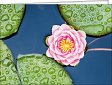 Leipziger Karte - Lotusblüte mit individuellem Eindruck