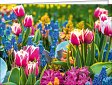 Leipziger Karte - Frühlingsglaube mit individuellem Eindruck